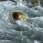 whirlpool