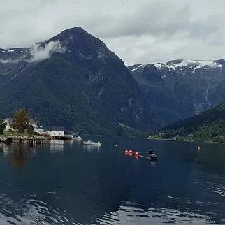 norwegian