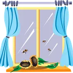 andersen_windows