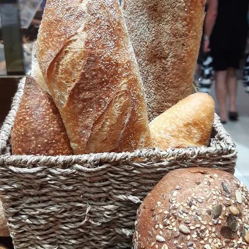 williams-sonoma