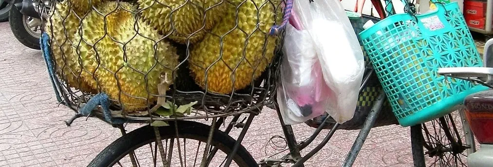 Schwinn