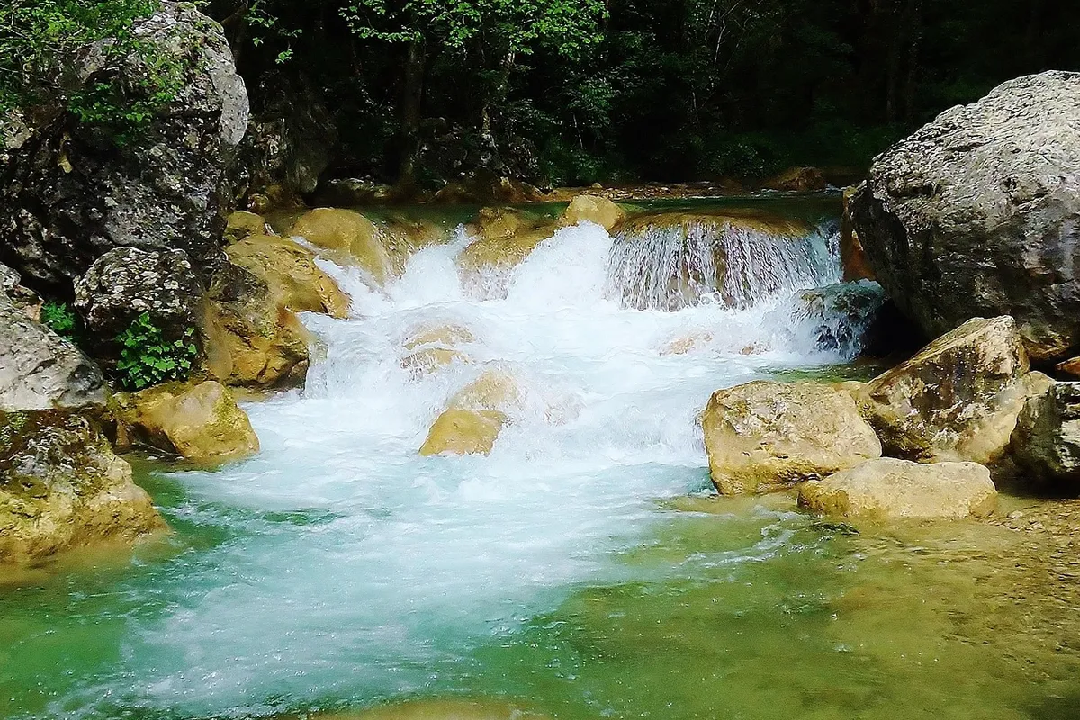 Whirlpool